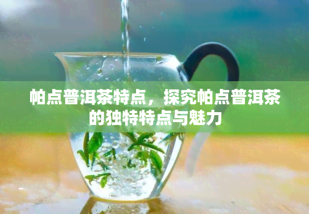 帕点普洱茶特点，探究帕点普洱茶的独特特点与魅力