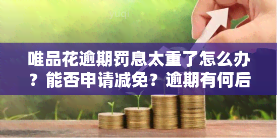 唯品花逾期罚息太重了怎么办？能否申请减免？逾期有何后果？会影响信用吗？100多天未还会被起诉吗？逾期一天是否需要全部还款？每月还一点可以吗？