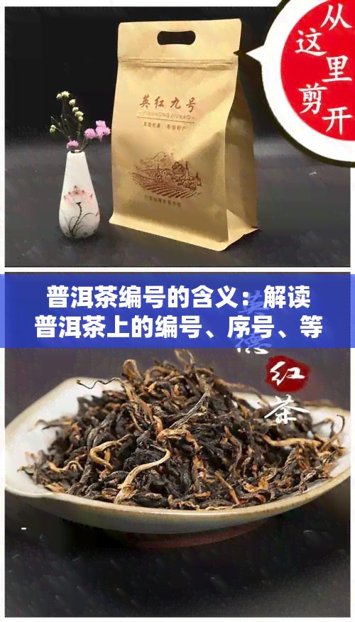 普洱茶编号的含义：解读普洱茶上的编号、序号、等级划分及具体意义，如13044、6003等编号所代表的信息。