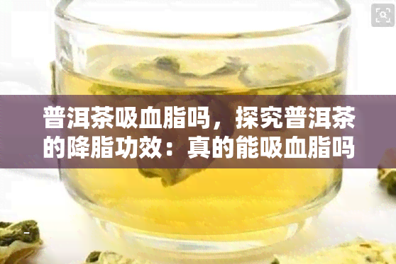 普洱茶吸血脂吗，探究普洱茶的降脂功效：真的能吸血脂吗？