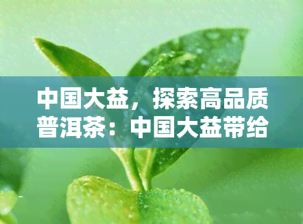 中国大益，探索高品质普洱茶：中国大益带给您独特的茶文化体验