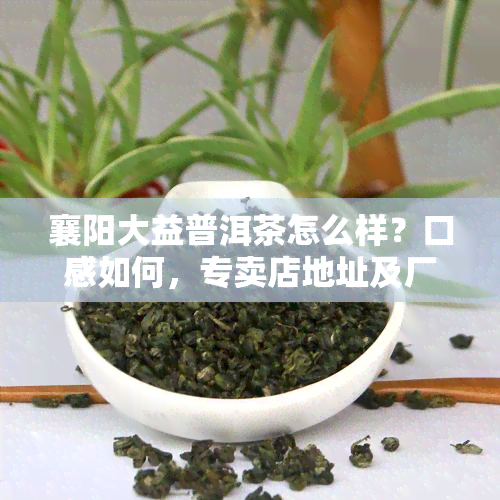 襄阳大益普洱茶怎么样？口感如何，专卖店地址及厂家电话