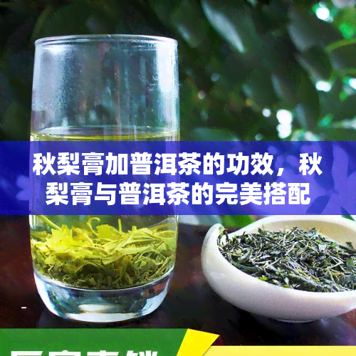 秋梨膏加普洱茶的功效，秋梨膏与普洱茶的完美搭配：养生功效大揭秘