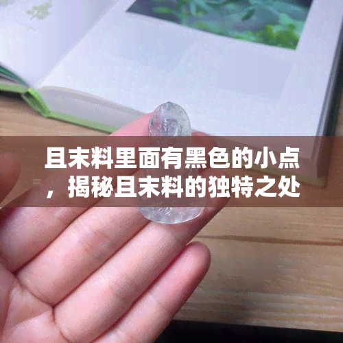 且末料里面有黑色的小点，揭秘且末料的独特之处：黑色小点的奥秘