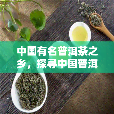 中国有名普洱茶之乡，探寻中国普洱茶之乡：品味历与文化的独特魅力