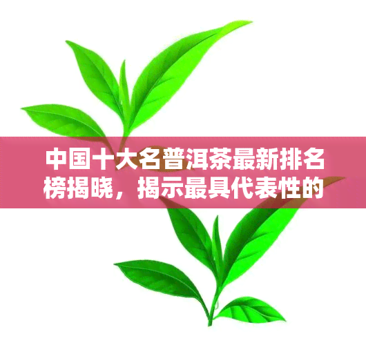 中国十大名普洱茶最新排名榜揭晓，揭示更具代表性的茶叶之一