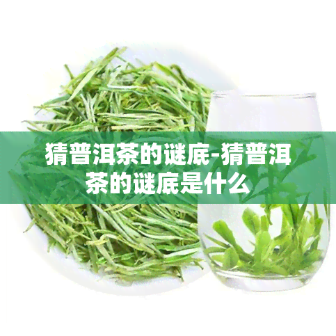 猜普洱茶的谜底-猜普洱茶的谜底是什么