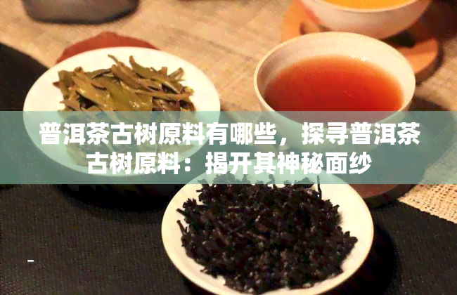 普洱茶古树原料有哪些，探寻普洱茶古树原料：揭开其神秘面纱