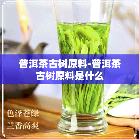 普洱茶古树原料-普洱茶古树原料是什么