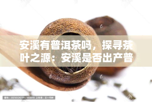 安溪有普洱茶吗，探寻茶叶之源：安溪是否出产普洱茶？