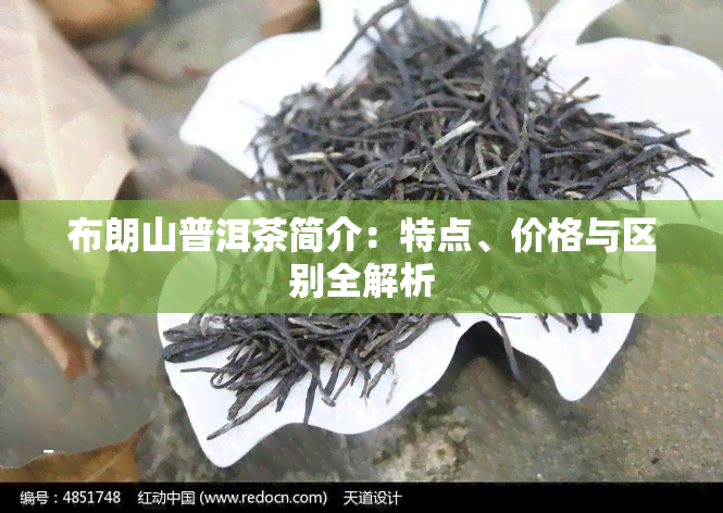 布朗山普洱茶简介：特点、价格与区别全解析