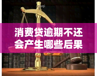 消费贷逾期不还会产生哪些后果？包括但不限于：影响信用记录、可能面临法律责任、增加利息负担。