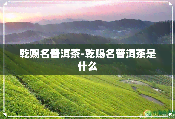 乾赐名普洱茶-乾赐名普洱茶是什么