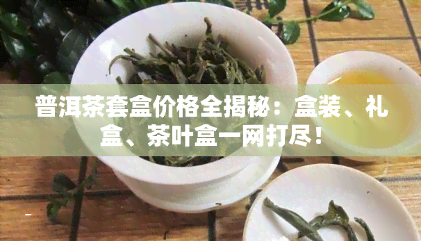 普洱茶套盒价格全揭秘：盒装、礼盒、茶叶盒一网打尽！