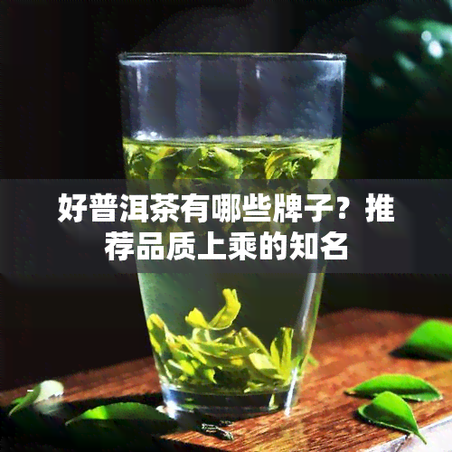 好普洱茶有哪些牌子？推荐品质上乘的知名