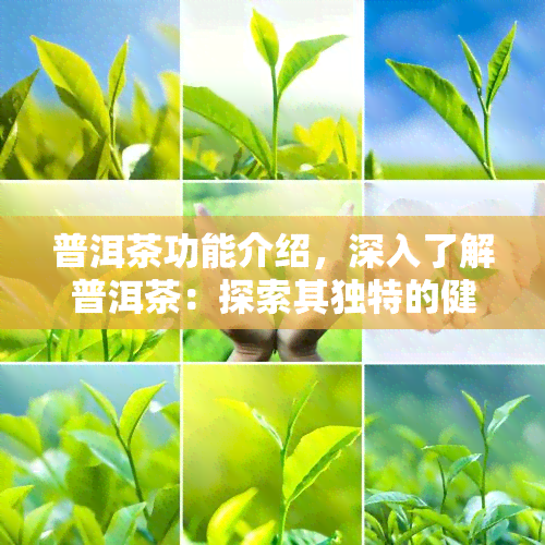 普洱茶功能介绍，深入了解普洱茶：探索其独特的健功效与美味口感