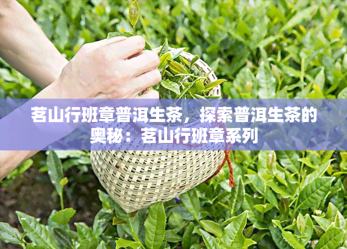 茗山行班章普洱生茶，探索普洱生茶的奥秘：茗山行班章系列