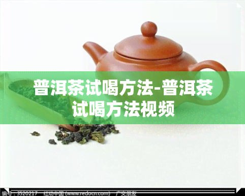 普洱茶试喝方法-普洱茶试喝方法视频