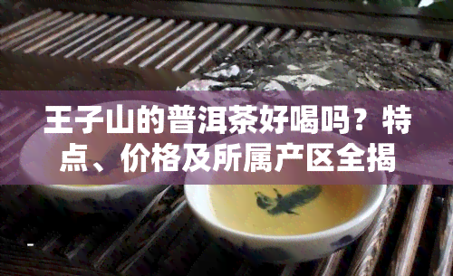 王子山的普洱茶好喝吗？特点、价格及所属产区全揭秘