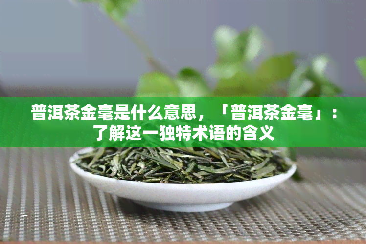 普洱茶金毫是什么意思，「普洱茶金毫」：了解这一独特术语的含义