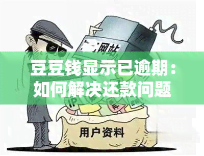 豆豆钱显示已逾期：如何解决还款问题及影响？