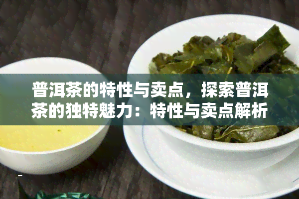 普洱茶的特性与卖点，探索普洱茶的独特魅力：特性与卖点解析