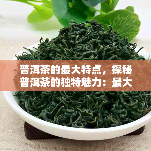 普洱茶的更大特点，探秘普洱茶的独特魅力：更大特点解析