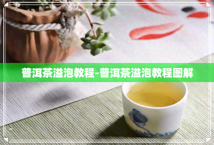 普洱茶溢泡教程-普洱茶溢泡教程图解