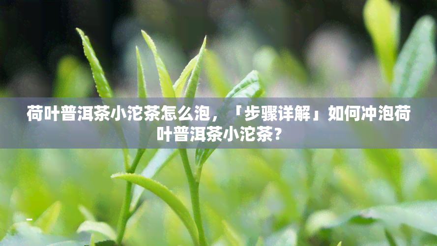 荷叶普洱茶小沱茶怎么泡，「步骤详解」如何冲泡荷叶普洱茶小沱茶？