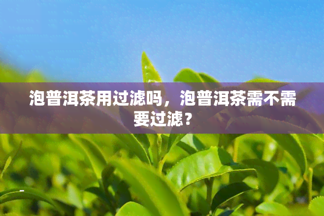 泡普洱茶用过滤吗，泡普洱茶需不需要过滤？