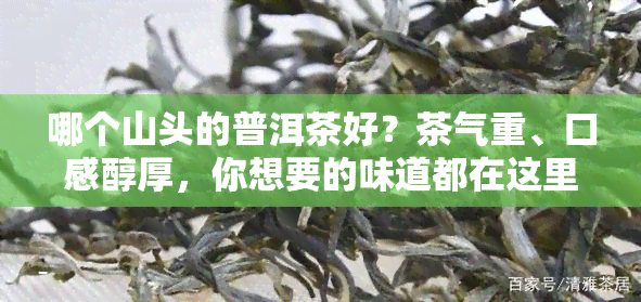 哪个山头的普洱茶好？茶气重、口感醇厚，你想要的味道都在这里！