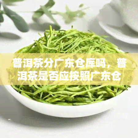 普洱茶分广东仓库吗，普洱茶是否应按照广东仓库进行分类？