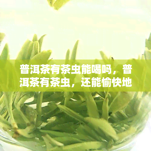 普洱茶有茶虫能喝吗，普洱茶有茶虫，还能愉快地喝下去吗？