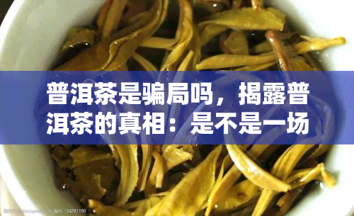 普洱茶是骗局吗，揭露普洱茶的真相：是不是一场骗局？