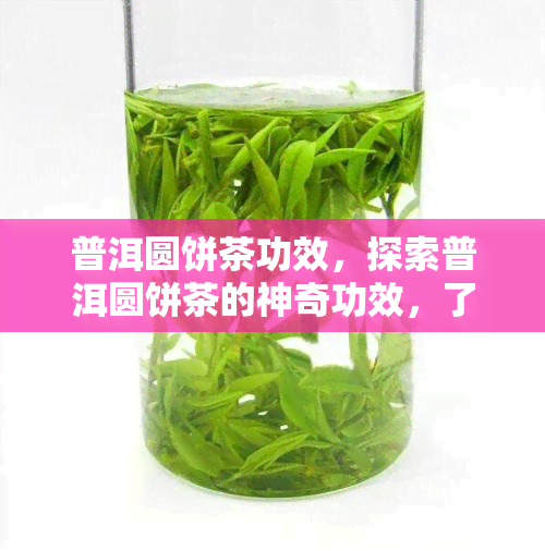 普洱圆饼茶功效，探索普洱圆饼茶的神奇功效，了解其对健的益处