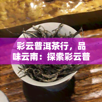 彩云普洱茶行，品味云南：探索彩云普洱茶行的世界