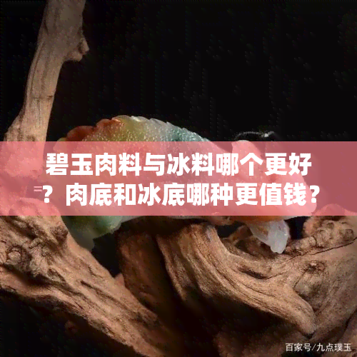 碧玉肉料与冰料哪个更好？肉底和冰底哪种更值钱？冰种碧玉的价值如何？碧玉是凉的吗？冻籽料的碧玉怎么样？