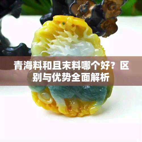 青海料和且末料哪个好？区别与优势全面解析