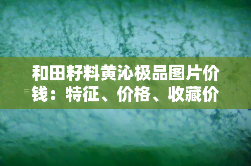 和田籽料黄沁极品图片价钱：特征、价格、收藏价值全解析