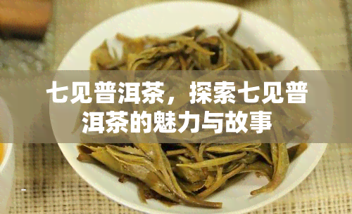 七见普洱茶，探索七见普洱茶的魅力与故事