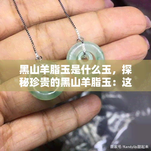 黑山羊脂玉是什么玉，探秘珍贵的黑山羊脂玉：这是一种什么样的玉石？