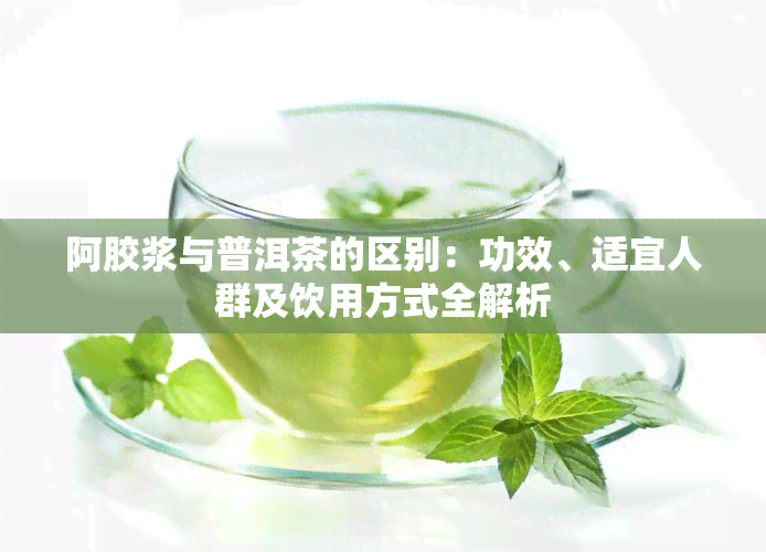 阿胶浆与普洱茶的区别：功效、适宜人群及饮用方式全解析