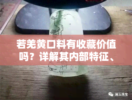 若羌黄口料有收藏价值吗？详解其内部特征、价格、原石图片及与俄料区别