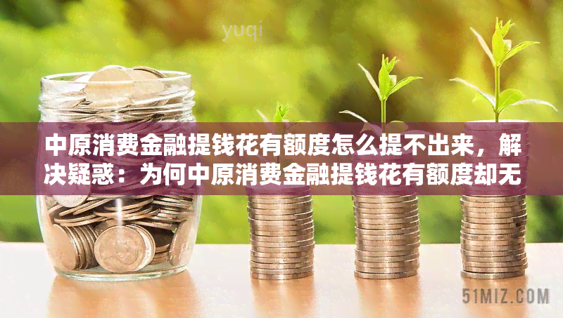 中原消费金融提钱花有额度怎么提不出来，解决疑惑：为何中原消费金融提钱花有额度却无法提现？