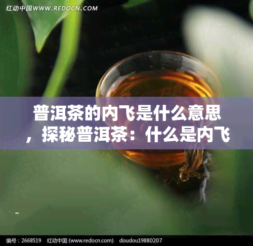 普洱茶的内飞是什么意思，探秘普洱茶：什么是内飞？