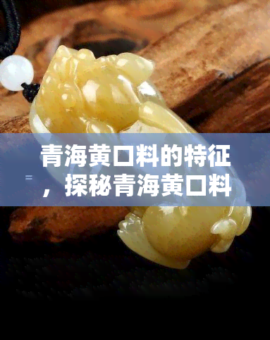 青海黄口料的特征，探秘青海黄口料的独特特征