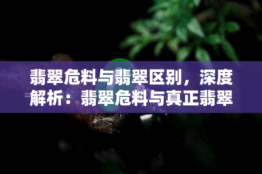 翡翠危料与翡翠区别，深度解析：翡翠危料与真正翡翠的区别