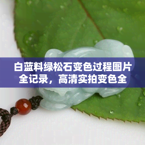 白蓝料绿松石变色过程图片全记录，高清实拍变色全过程！