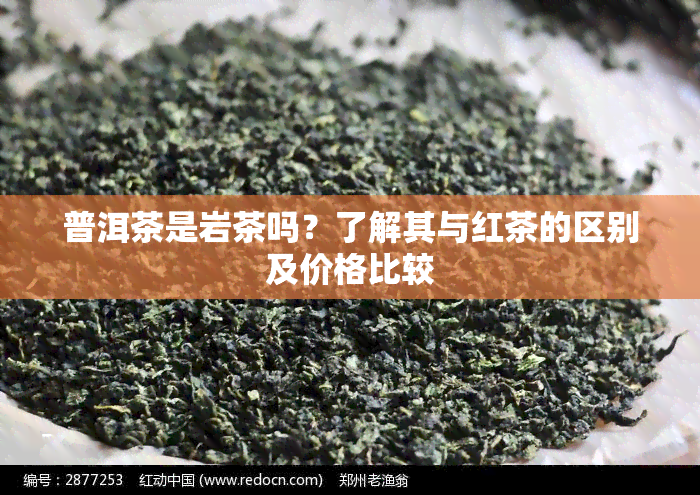 普洱茶是岩茶吗？了解其与红茶的区别及价格比较