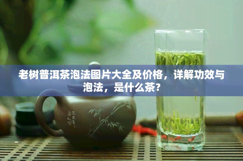 老树普洱茶泡法图片大全及价格，详解功效与泡法，是什么茶？